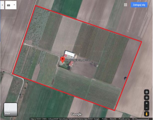 Działka rolna Aleksandria. Zdjęcie 1