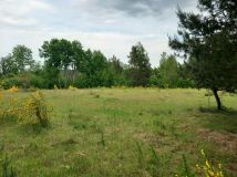 Działka inwestycyjna Borek Kamienny. Zdjęcie 2