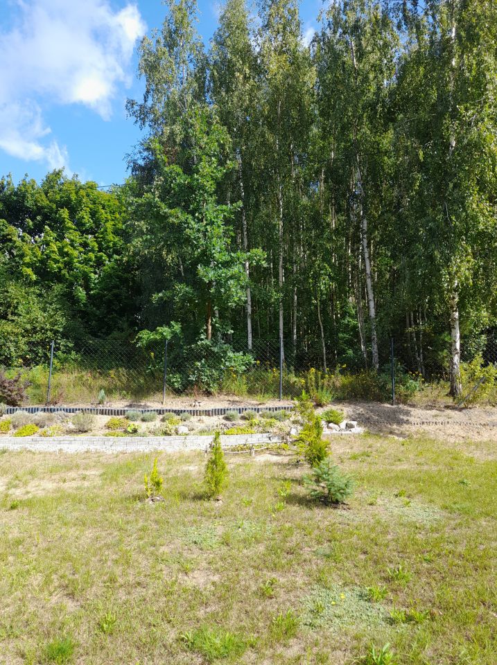 Działka rekreacyjna Morawy Albertowo. Zdjęcie 4