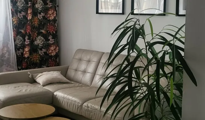 Mieszkanie 2-pokojowe Łódź Chojny, ul. Ogniskowa