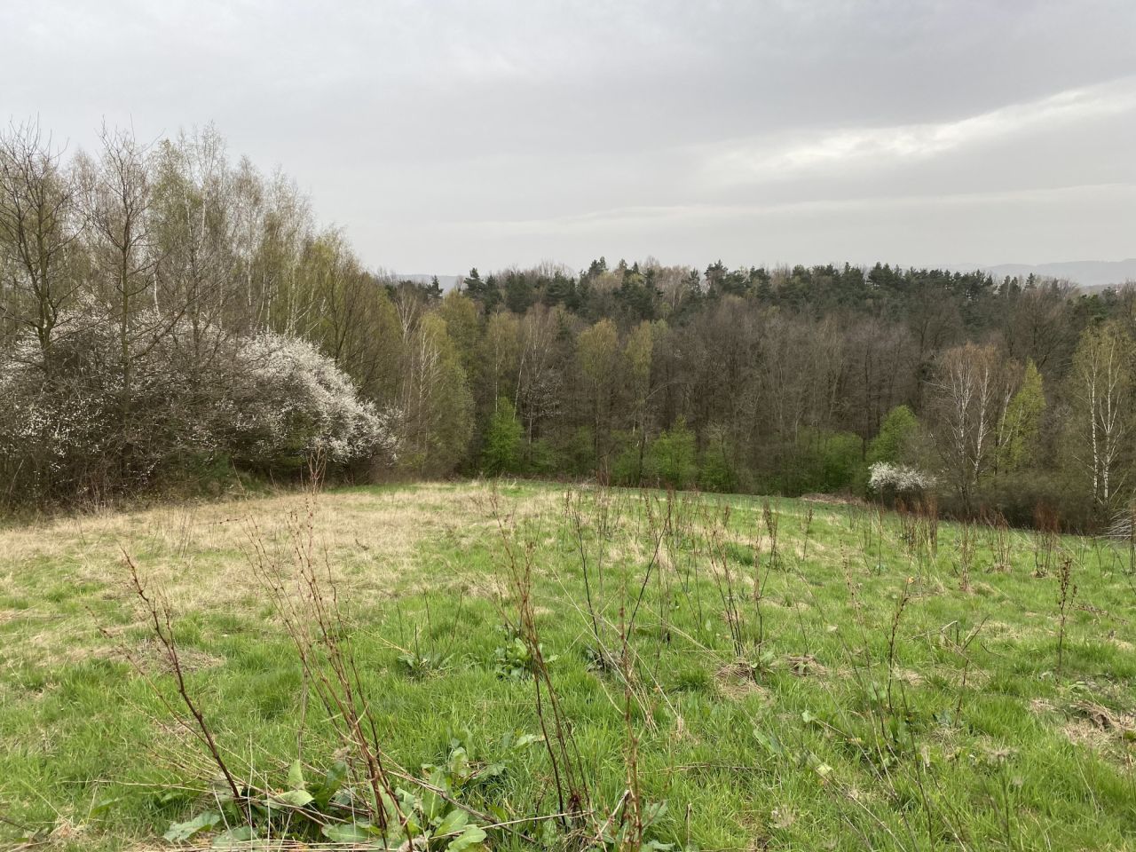 Działka rolna Lipnica Górna Wymyślna. Zdjęcie 3