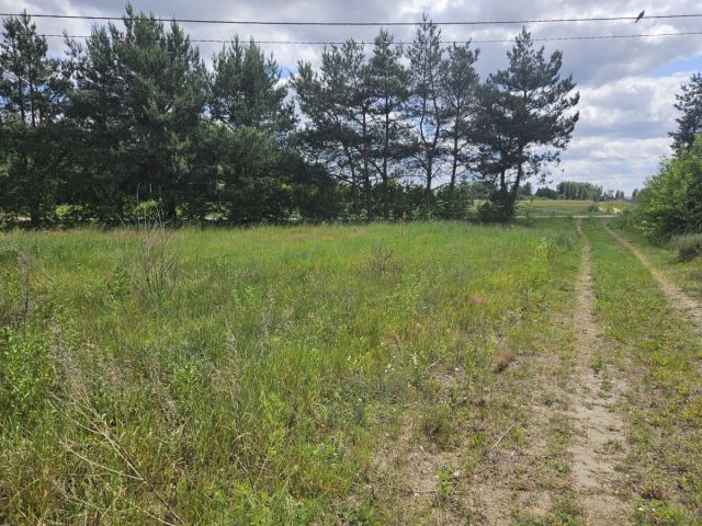 Działka budowlana Stare Wrońska. Zdjęcie 7