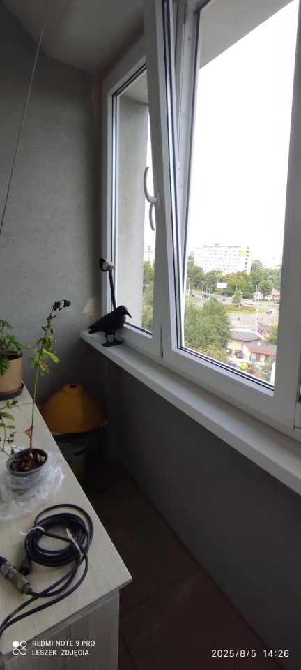 Mieszkanie 2-pokojowe Wrocław Krzyki, ul. Gajowicka. Zdjęcie 12