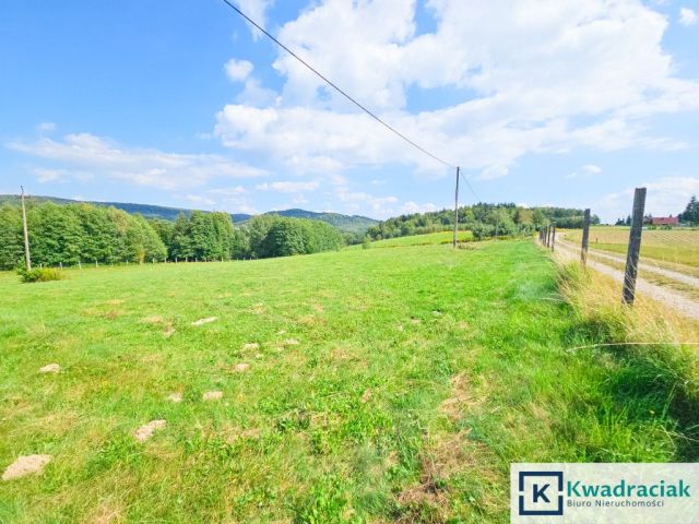 Działka budowlana Huta Gogołowska. Zdjęcie 13