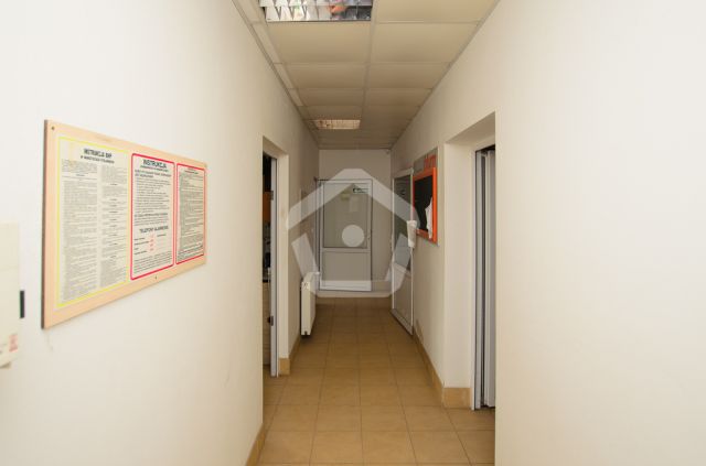 Hala/magazyn Rogoźnica. Zdjęcie 15