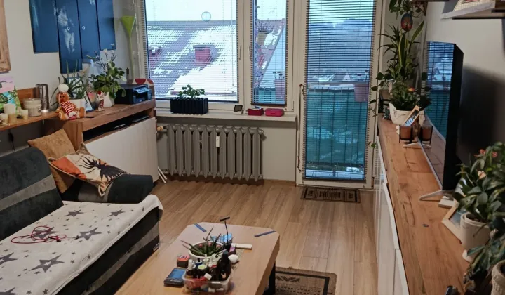 Mieszkanie 2-pokojowe Mrągowo, os. Grunwaldzkie