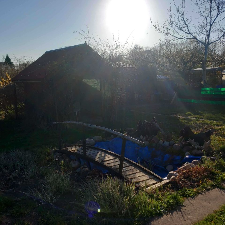 Działka rod Koszalin. Zdjęcie 6