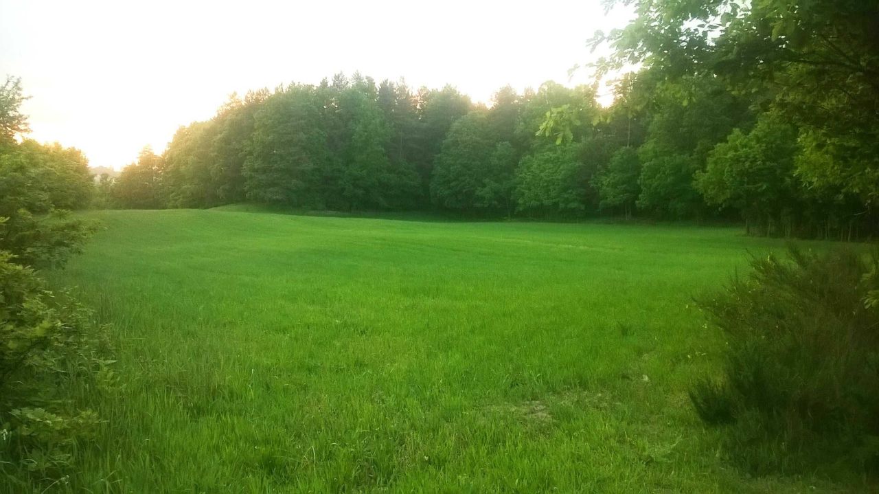 Działka budowlana Gowidlino. Zdjęcie 5