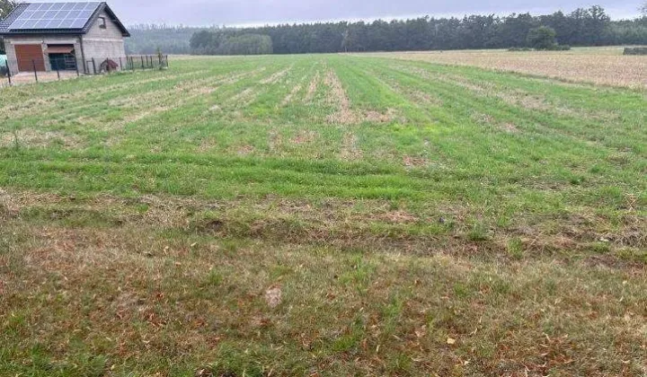 Działka budowlana Łękińsko, ul. Szkolna