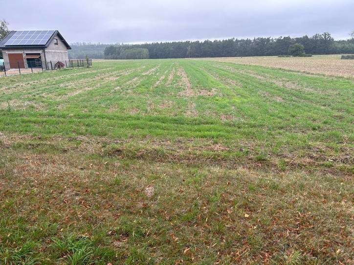 Działka budowlana Łękińsko, ul. Szkolna. Zdjęcie 1