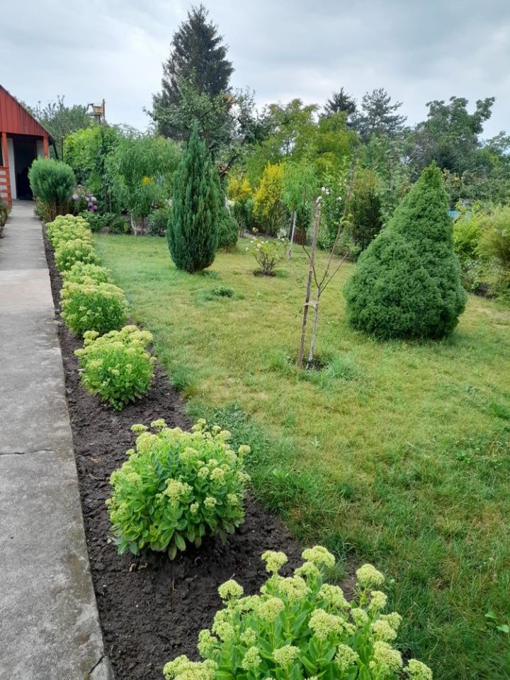 Działka rod Wrocław Fabryczna, ul. Klecińska. Zdjęcie 2