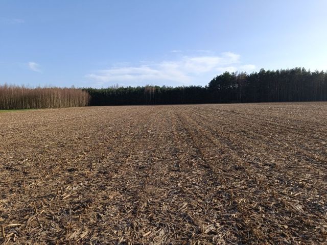 Działka rolna Przyrowa. Zdjęcie 1