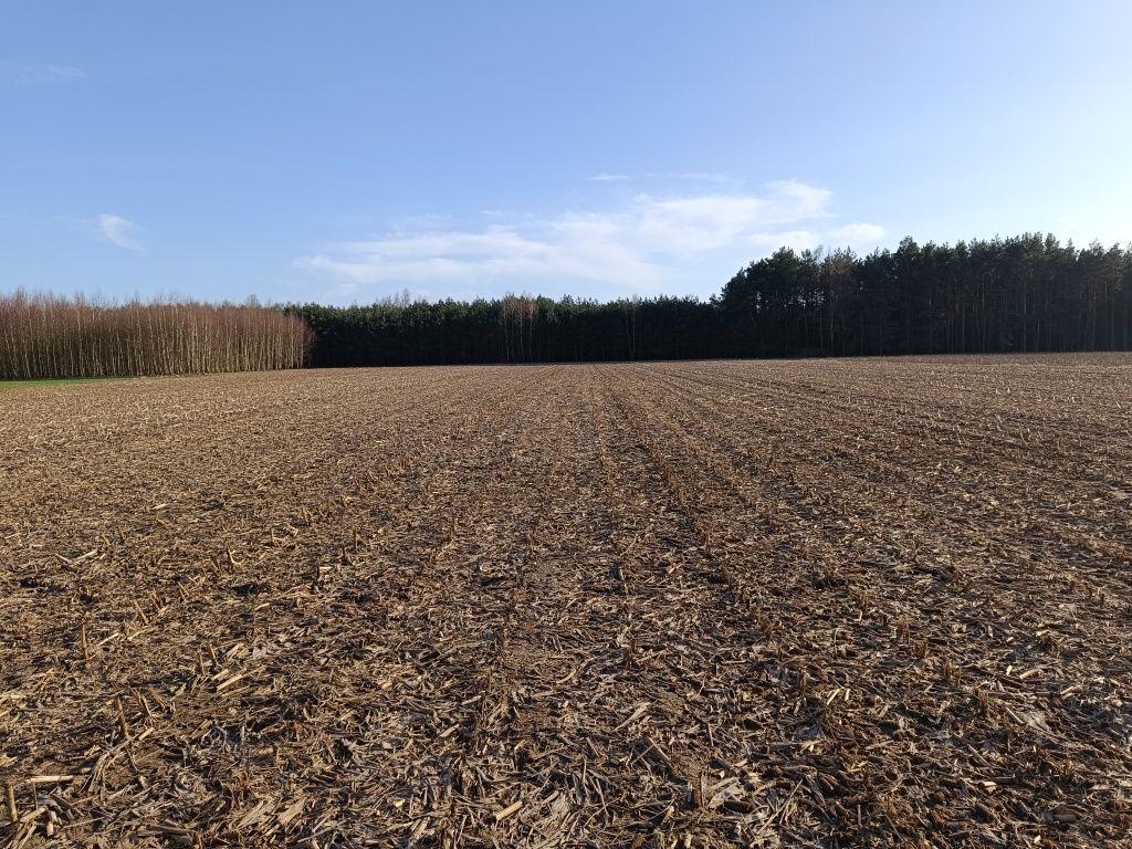 Działka rolna Przyrowa. Zdjęcie 1