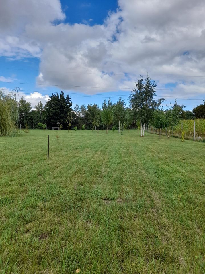 Działka budowlana Cienin Zaborny. Zdjęcie 7