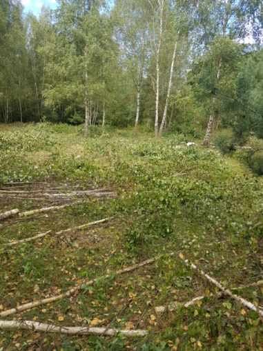 Działka budowlana Pieńki-Towarzystwo