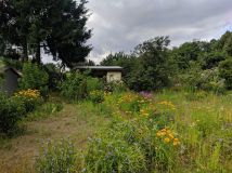 Działka rod Trzcianka. Zdjęcie 2