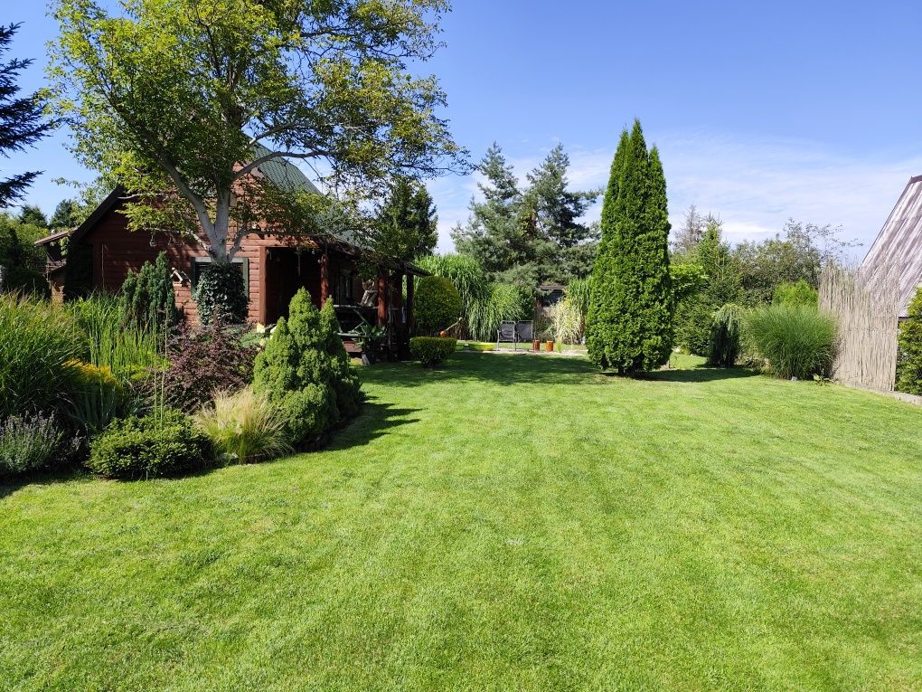 Działka rod Brodła, ul. Działkowców