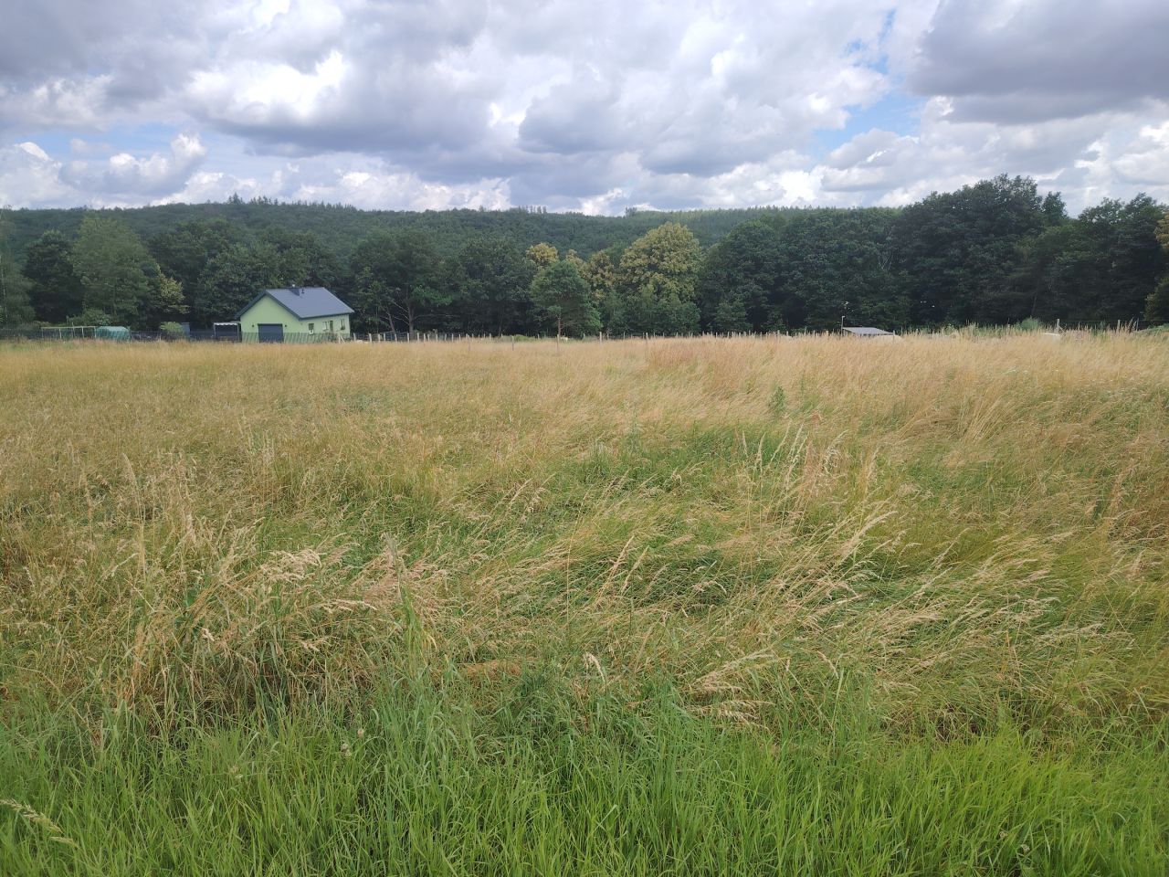 Działka budowlana Wolbromek. Zdjęcie 4