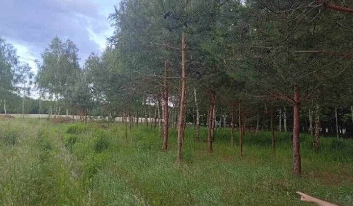 Działka Krasne
