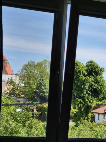 Mieszkanie 2-pokojowe Puck, ul. Zamkowa. Zdjęcie 19