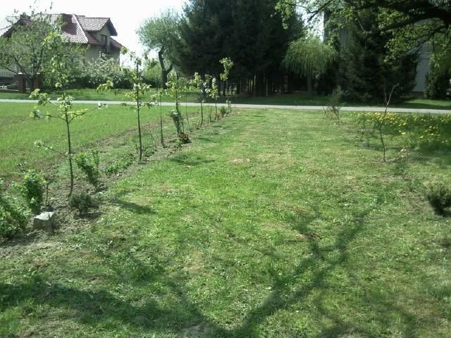 Działka budowlana Bogucin. Zdjęcie 2