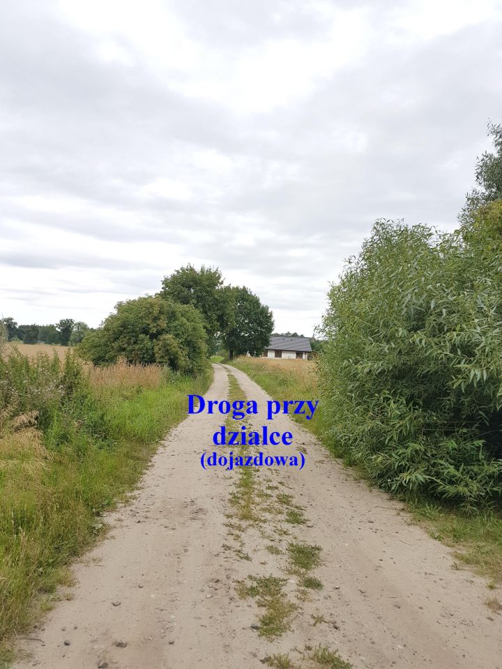 Działka rolno-budowlana Rudzienice. Zdjęcie 16