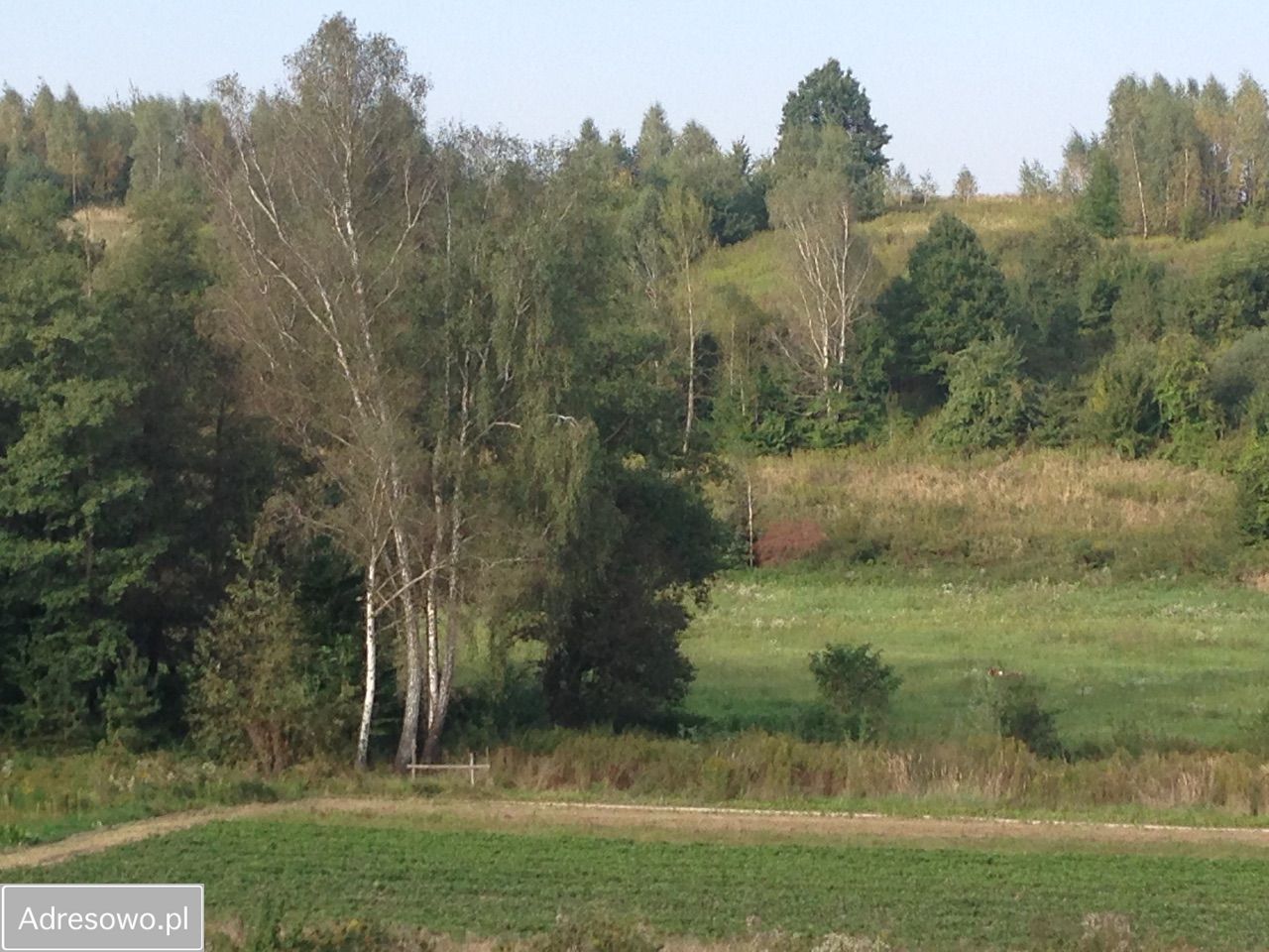 Działka budowlana Kazimierz Dolny. Zdjęcie 13