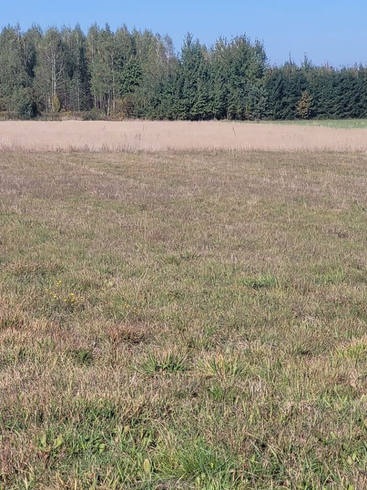 Działka rolno-budowlana Częstoniew. Zdjęcie 5