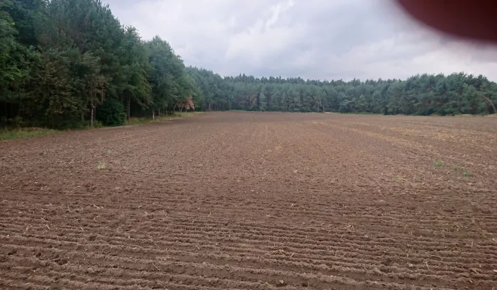 Działka inna Gąsiorowice, ul. Wolności