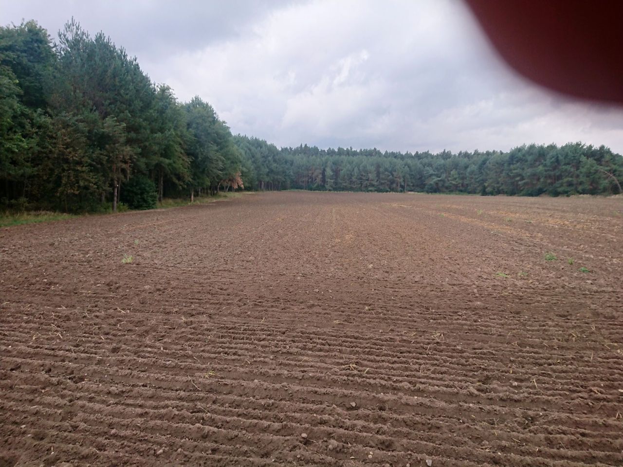 Działka inna Gąsiorowice, ul. Wolności