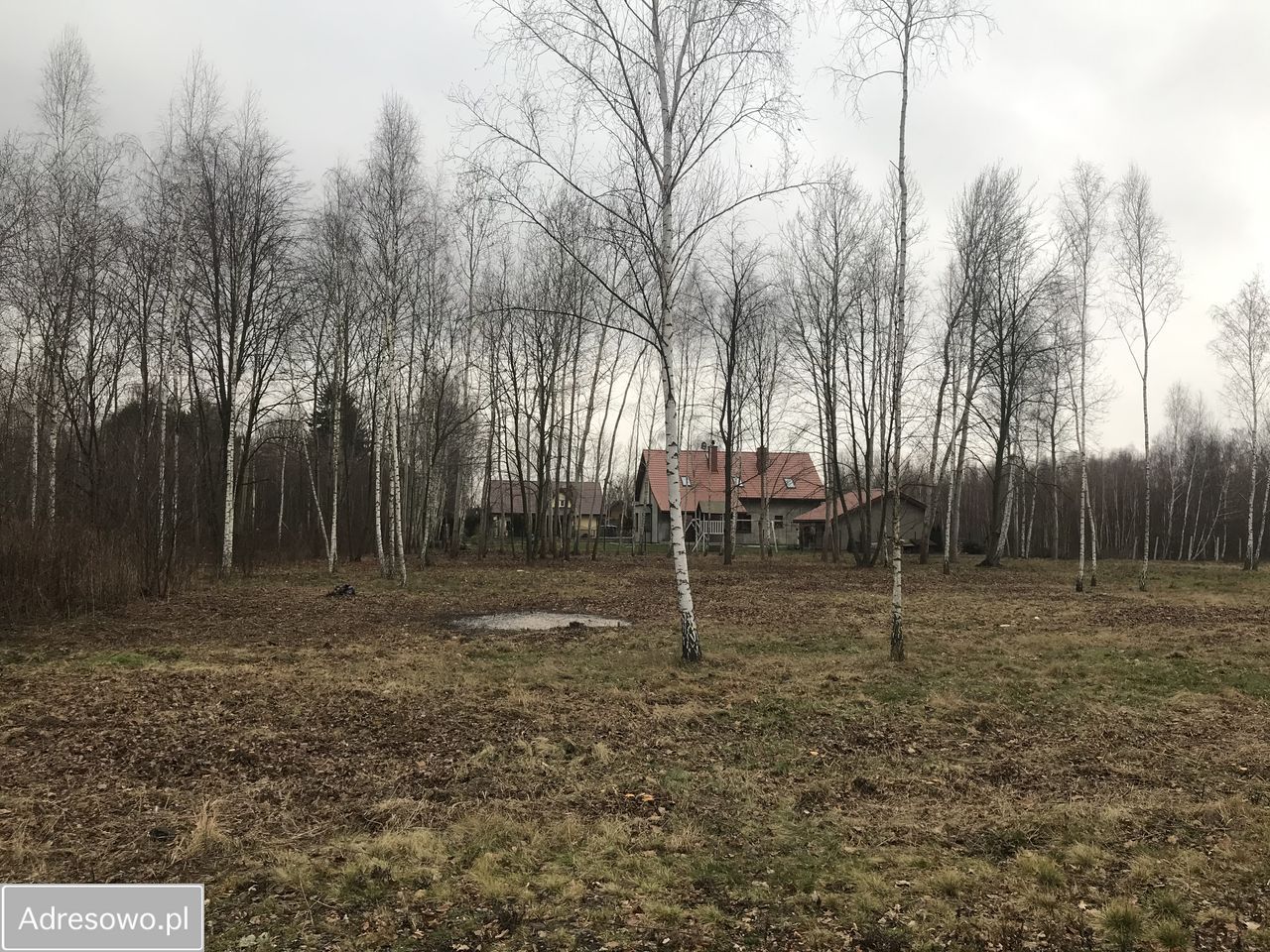 Działka rolno-budowlana Adamowizna. Zdjęcie 3