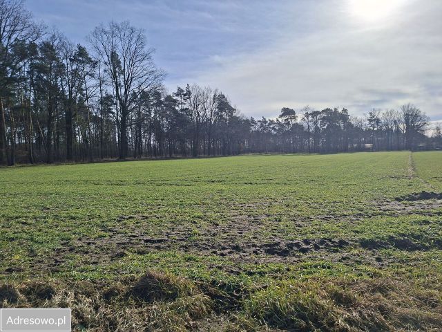 Działka rolna Zawada, ul. Luboszycka. Zdjęcie 1