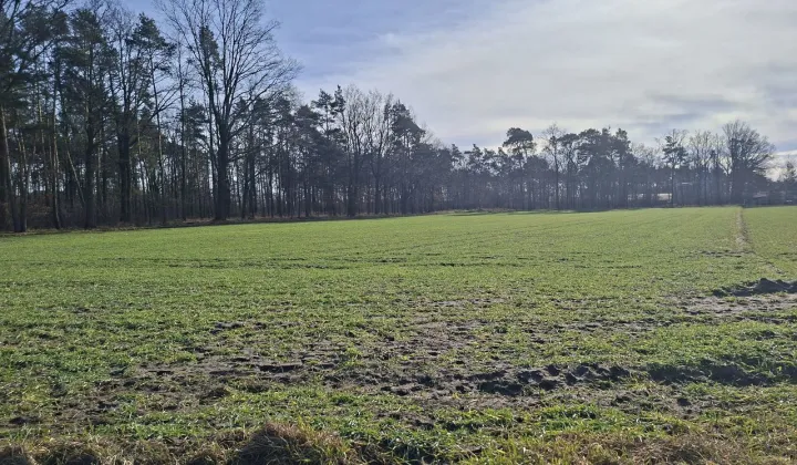 Działka rolna Zawada, ul. Luboszycka