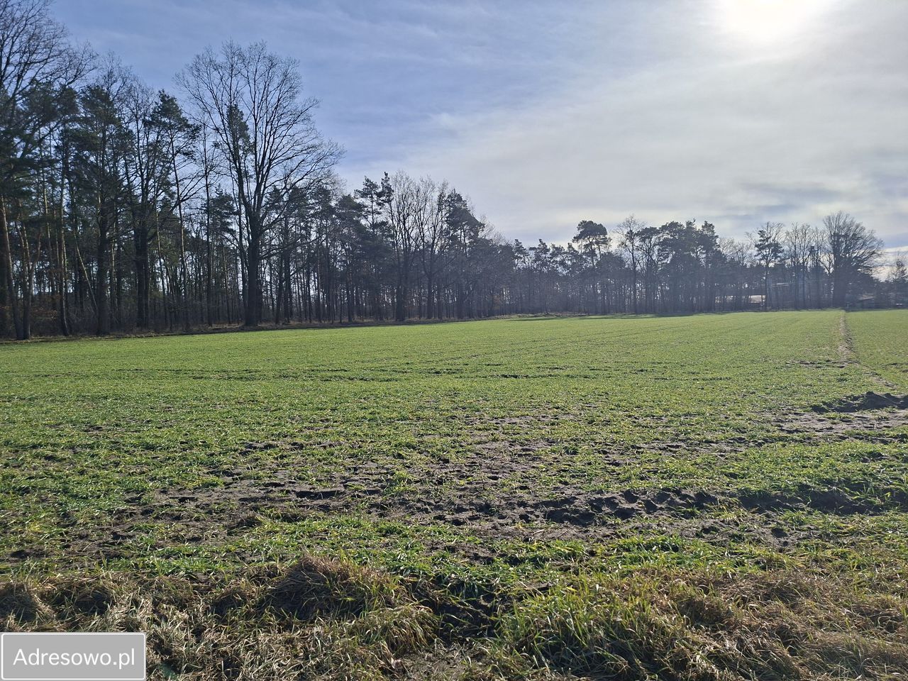 Działka rolna Zawada, ul. Luboszycka. Zdjęcie 1