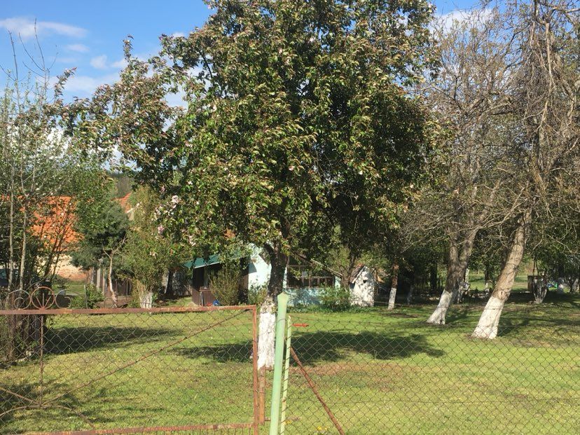 Działka budowlana Maciejowice. Zdjęcie 2