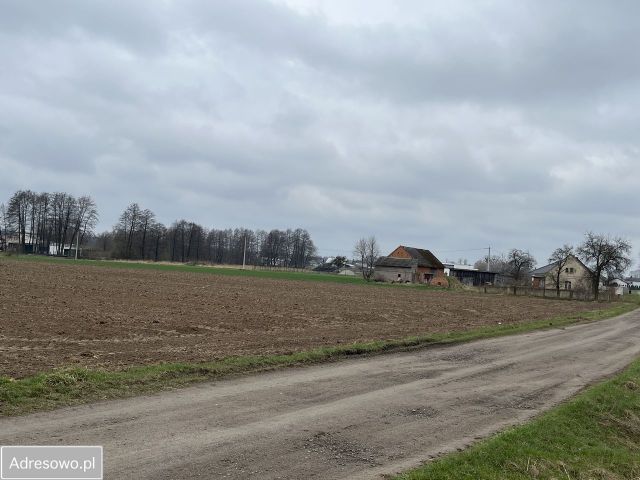 Działka budowlana Słaborowice. Zdjęcie 1