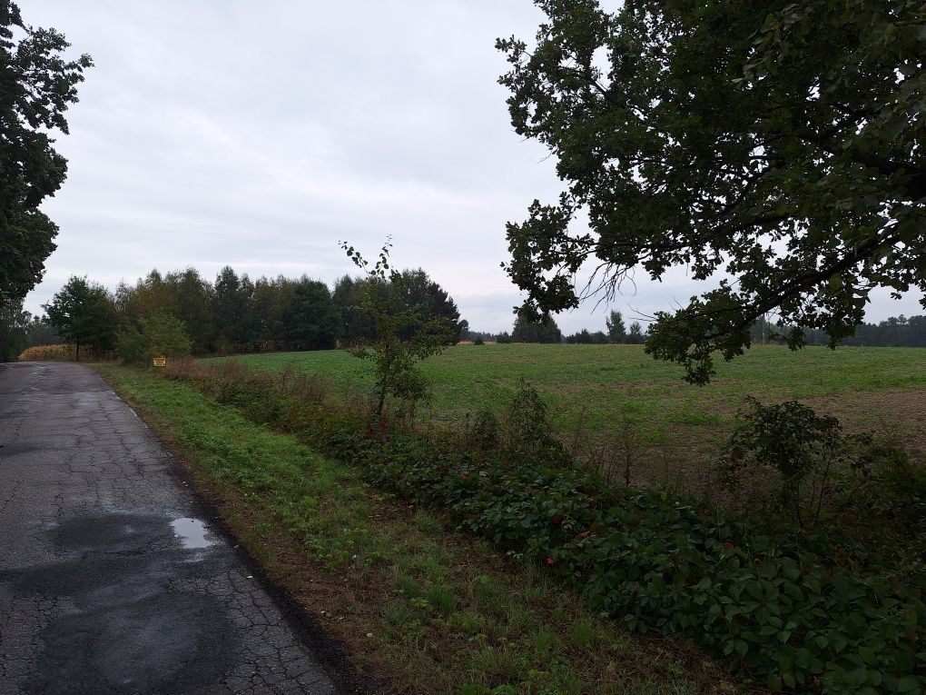 Działka budowlana Siennica Nadolna. Zdjęcie 7