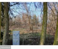 Działka budowlana Poznań Szczepankowo, ul. Jeżynowa