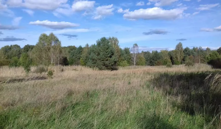 Działka budowlana Kunice