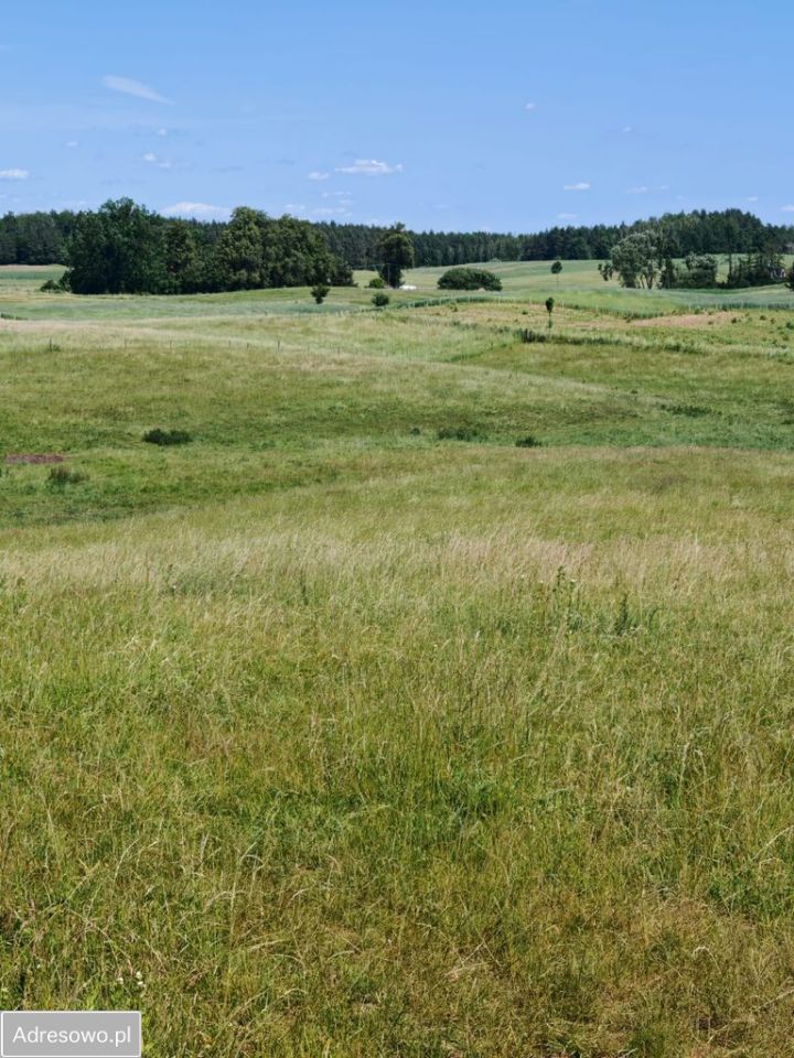 Działka rolna Dąbrówka. Zdjęcie 10