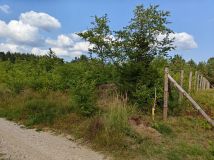 Działka budowlana Dalny Las. Zdjęcie 4