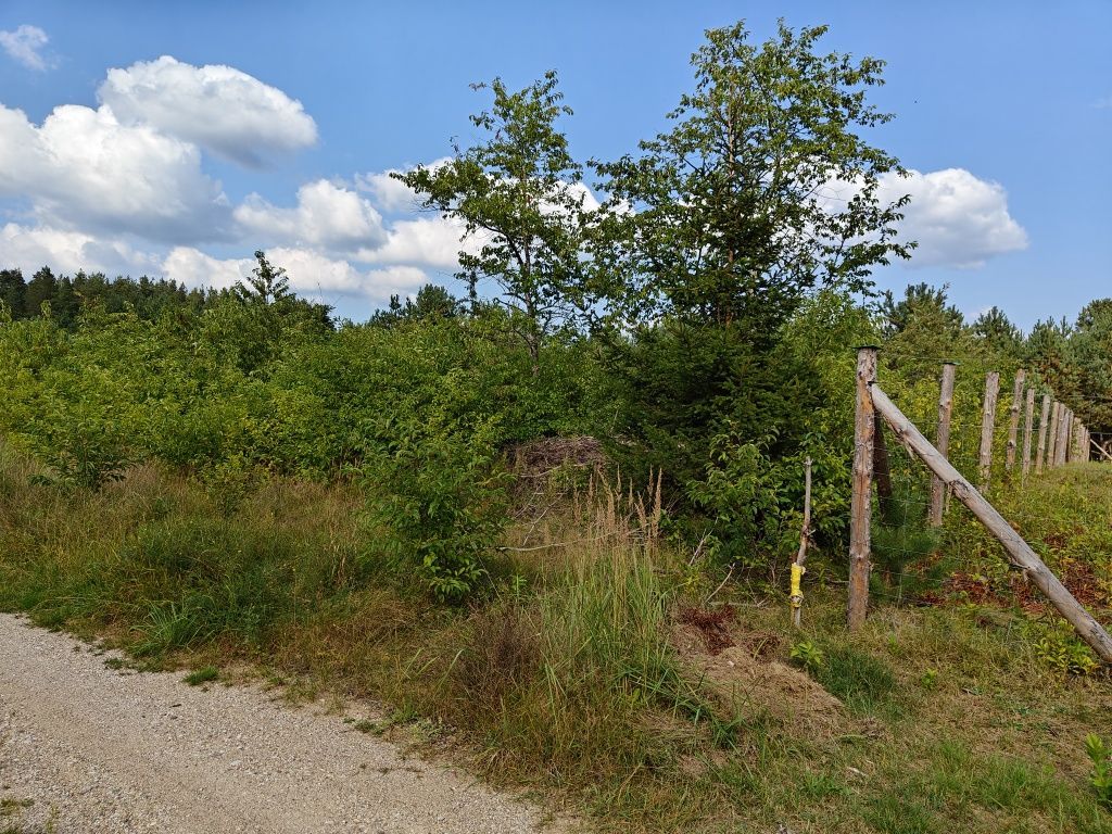 Działka budowlana Dalny Las. Zdjęcie 5