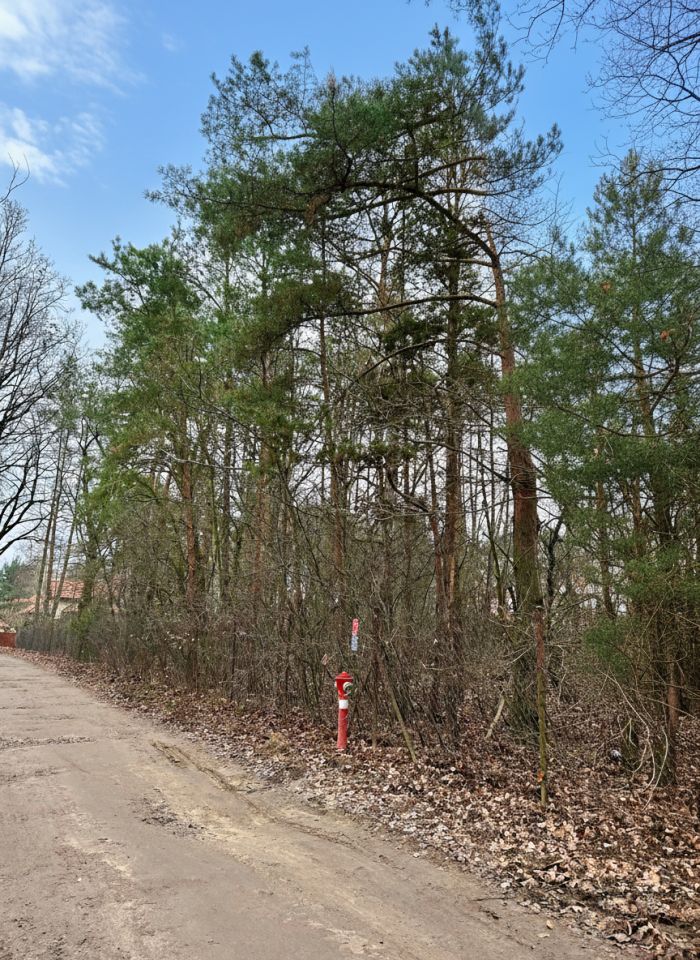 Działka budowlana Chotomów, ul. Kasztanowa. Zdjęcie 4