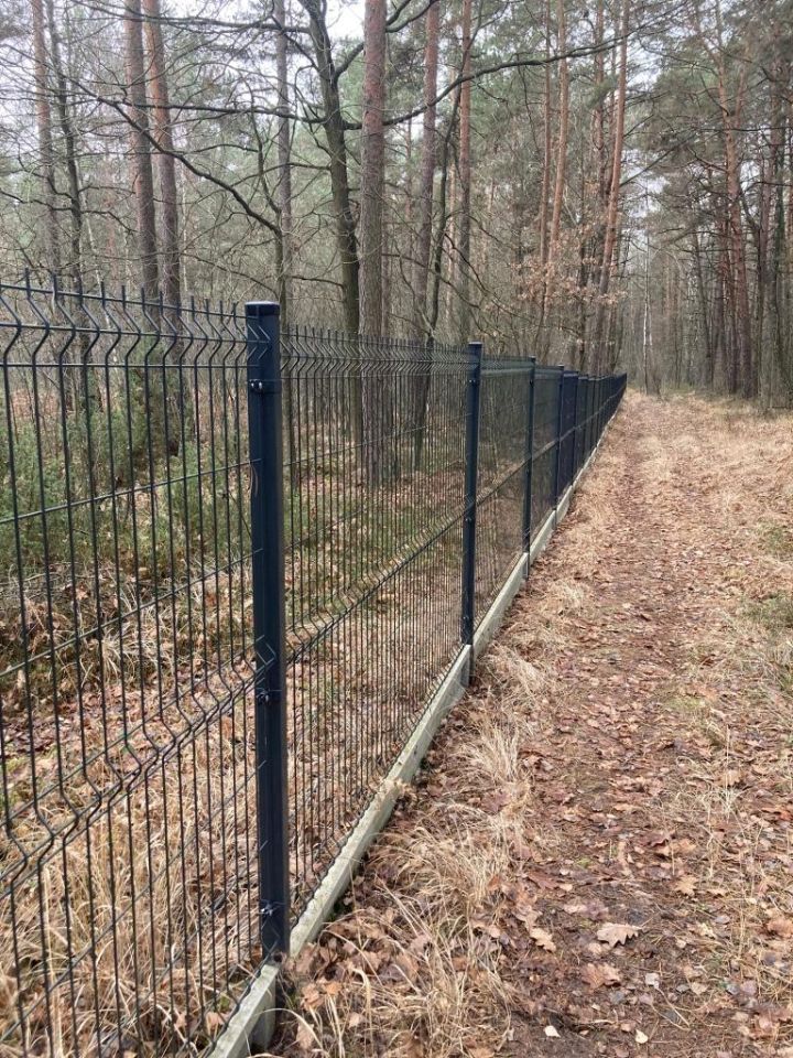 Działka leśna Osieck Kąciki, ul. Porannej Rosy. Zdjęcie 5