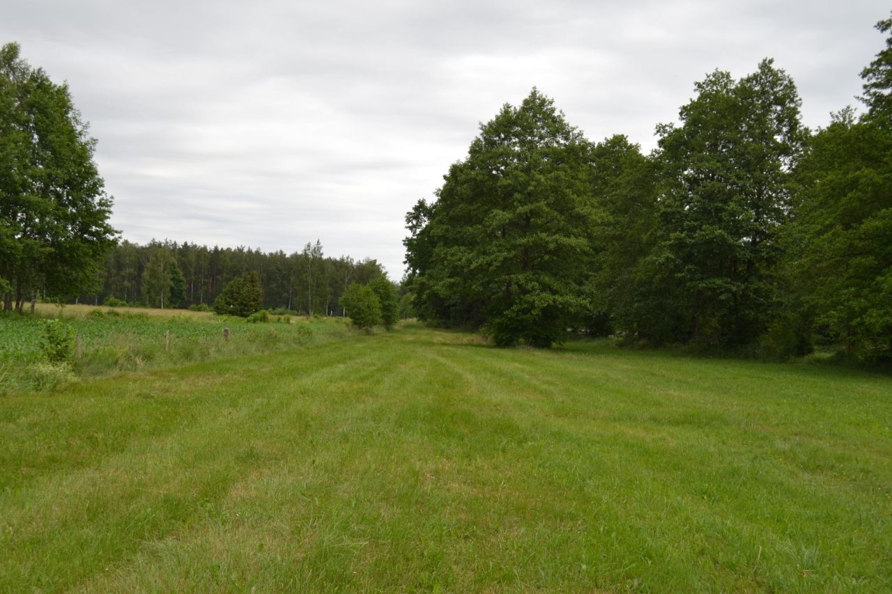 Działka rolno-budowlana Dąbrowy. Zdjęcie 3
