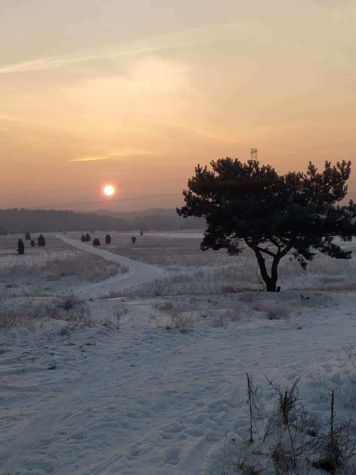 Działka rolno-budowlana Leżenice, ul. Dworska. Zdjęcie 8