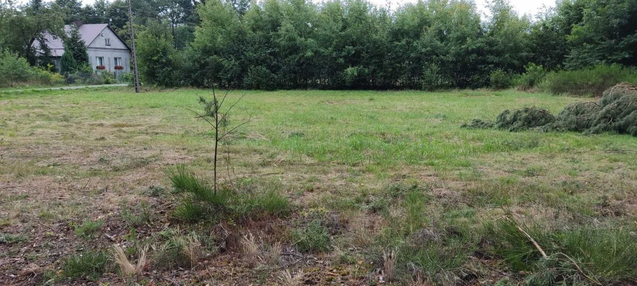 Działka rolno-budowlana Borzęcin Czarnawa. Zdjęcie 6