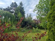 Działka rod Łódź Łagiewniki, ul. o. Leona Godlewskiego. Zdjęcie 4