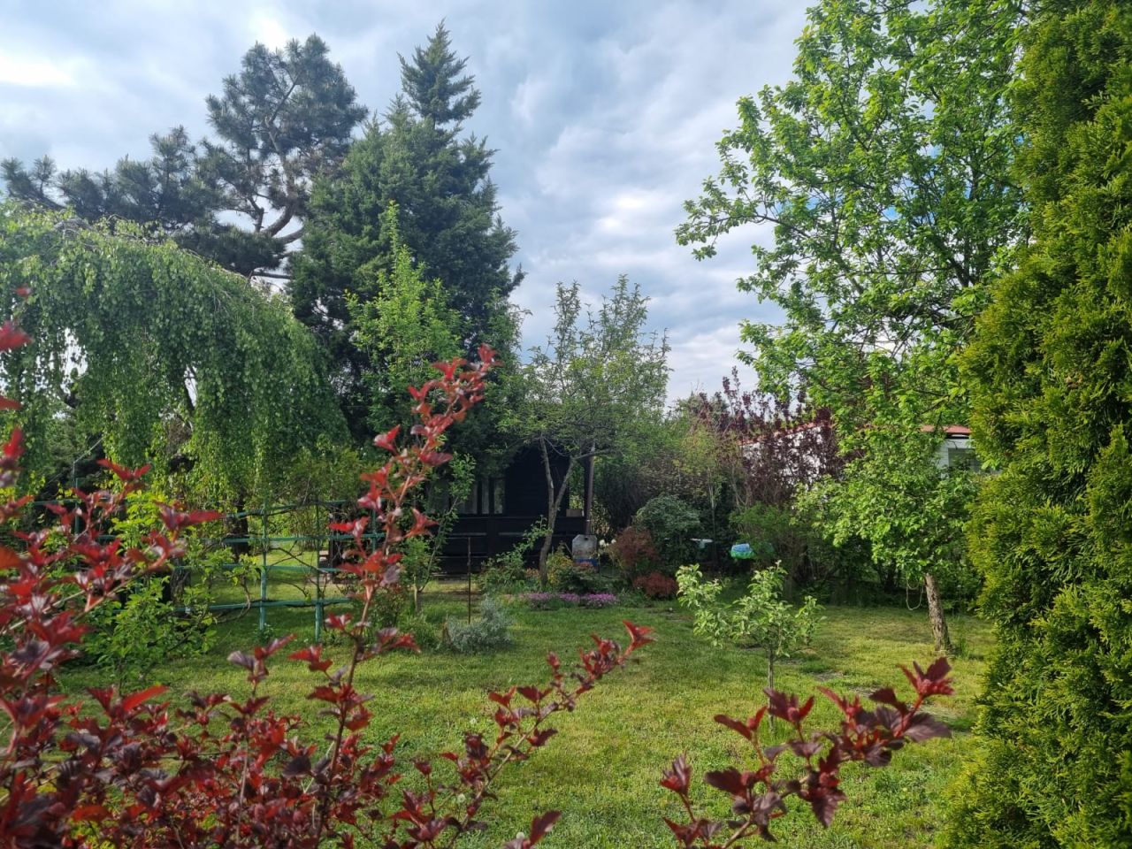 Działka rod Łódź Łagiewniki, ul. o. Leona Godlewskiego. Zdjęcie 5