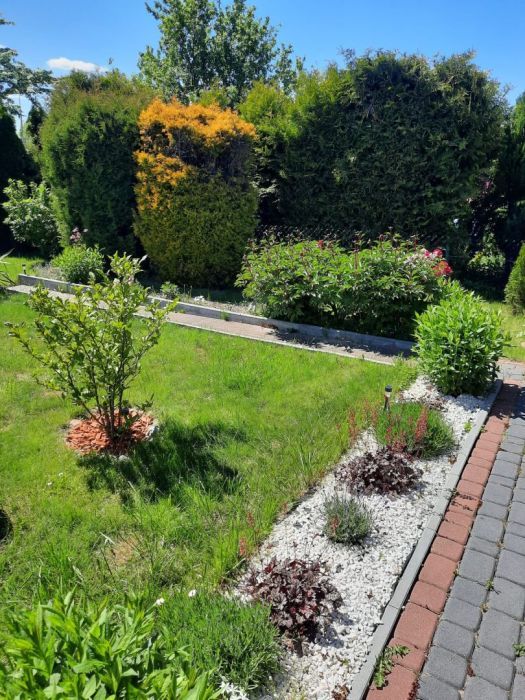 Działka rod Gdańsk Rębiechowo, ul. Nowatorów. Zdjęcie 16